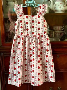Lily Bleu Dress with Red Strawberry Print NWOT’s